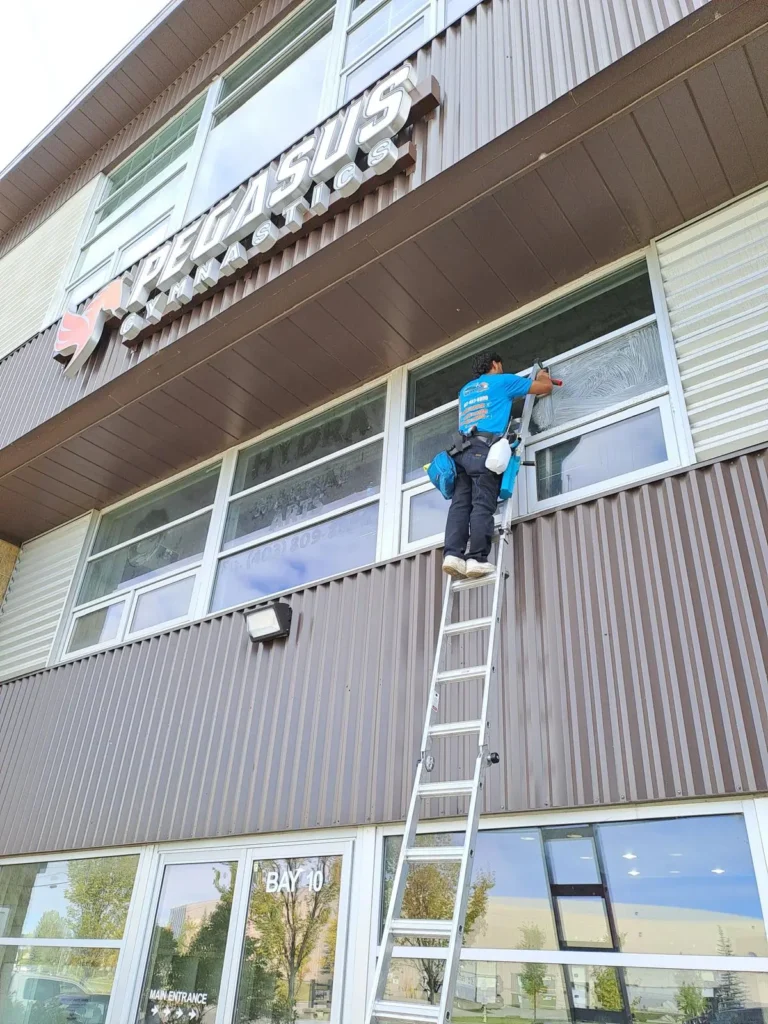 Pro Window Cleaning Calgary technician on a ladder cleaning upper-level windows on a commercial building in Calgary