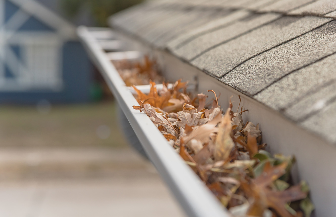 Eavestrough full of leaves on a Calgary home